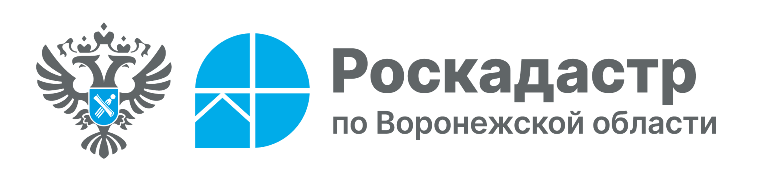 В 2025 году воронежский Роскадастр проводит комплексные кадастровые работы в отношении 184 кадастровых кварталов.