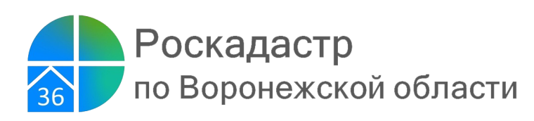 За полгода воронежцы заказали в 30 раз больше электронных выписок из ЕГРН, чем бумажных. За полгода воронежцы заказали в 30 раз больше электронных выписок из ЕГРН, чем бумажных.