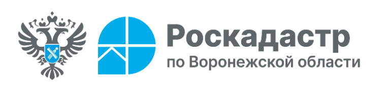 В 2025 году воронежский Роскадастр проводит комплексные кадастровые работы в отношении 184 кадастровых кварталов. В 2025 году воронежский Роскадастр проводит комплексные кадастровые работы в отношении 184 кадастровых кварталов.